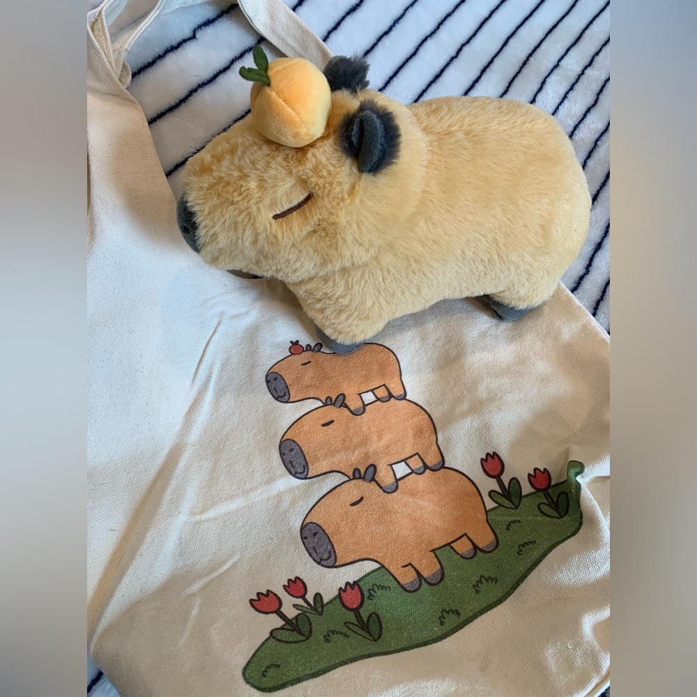 Cute Capybara Plush and Tote Set